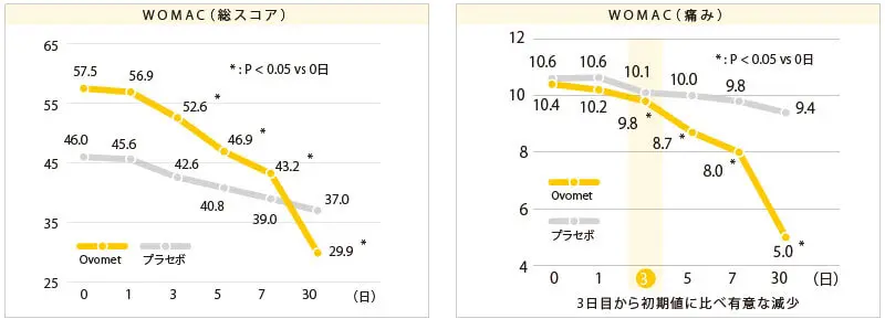 関節への効果(ヒト臨床試験)
