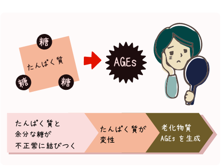 AGEs生成の仕組み